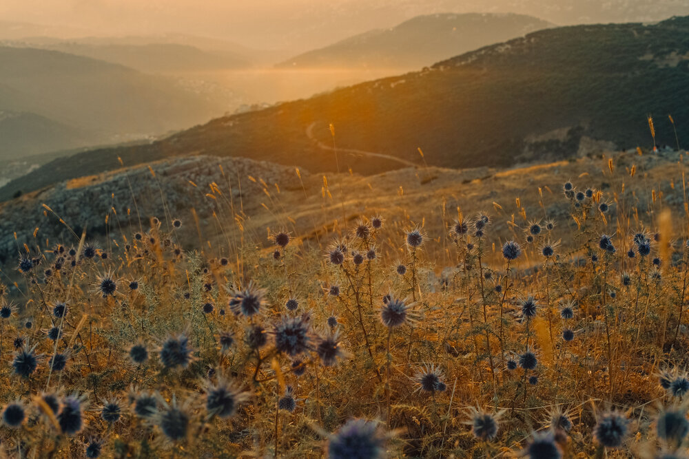 Photograph by Наталья Шумиловская