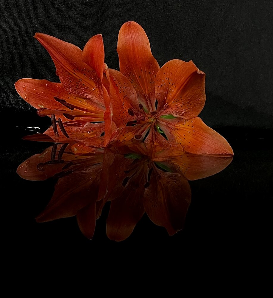 Photograph by Оксана Дунаевская