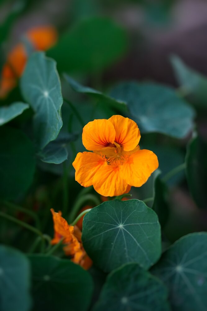 Photograph by Вадим Новичков