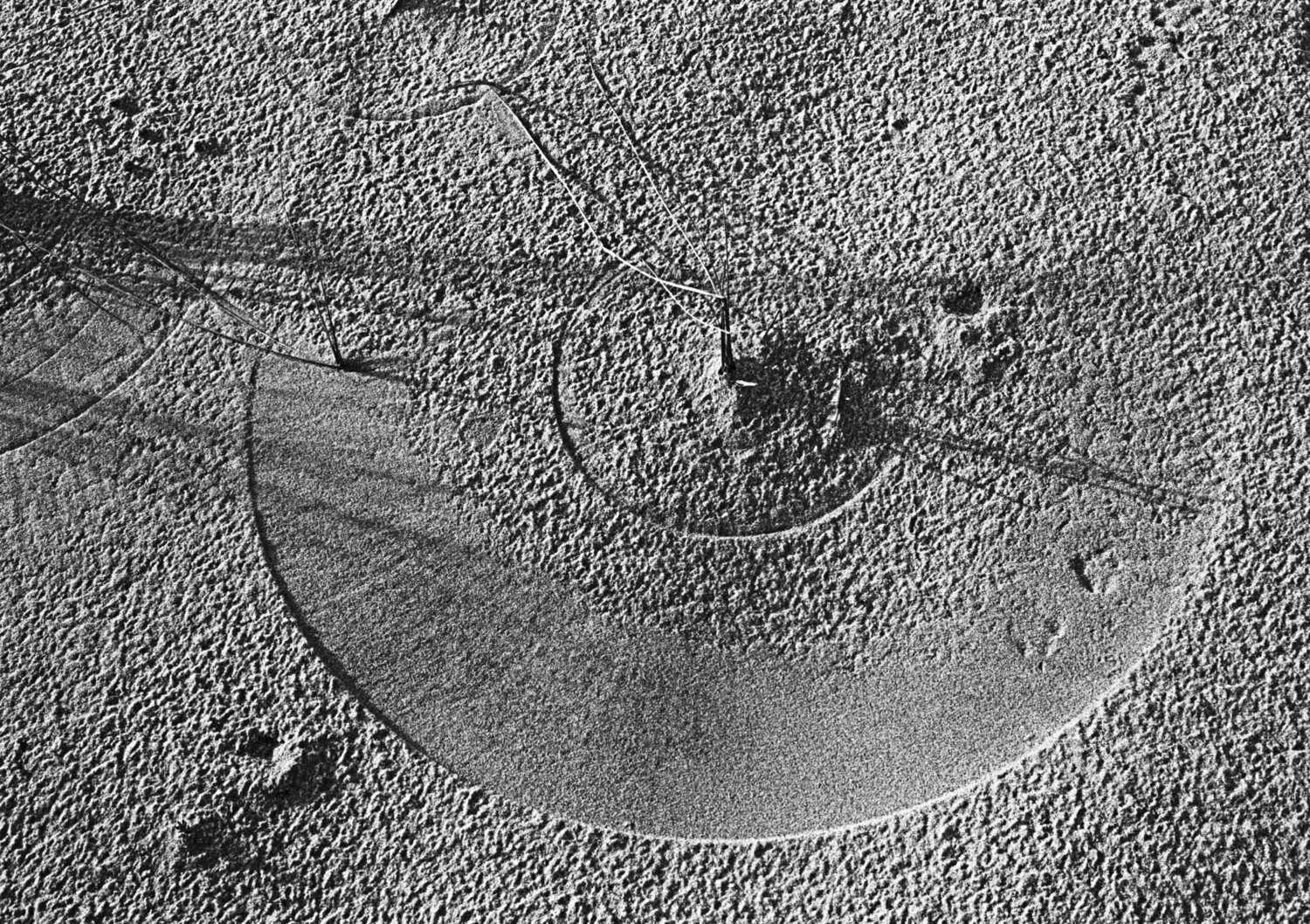 Photo #13849509