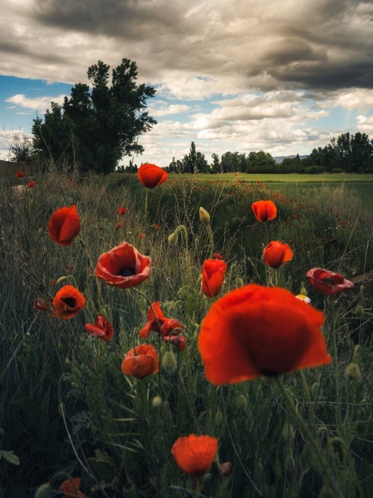 Photograph by Daniel Villalba Garcia
