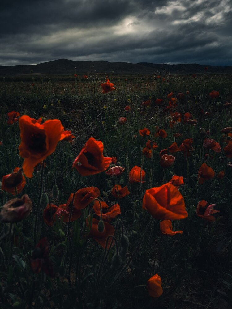 Photograph by Daniel Villalba Garcia