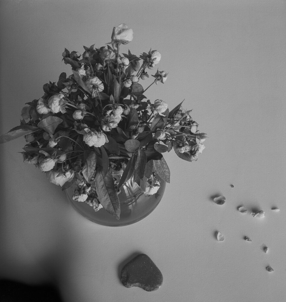 Photograph by Wojtek Korsak