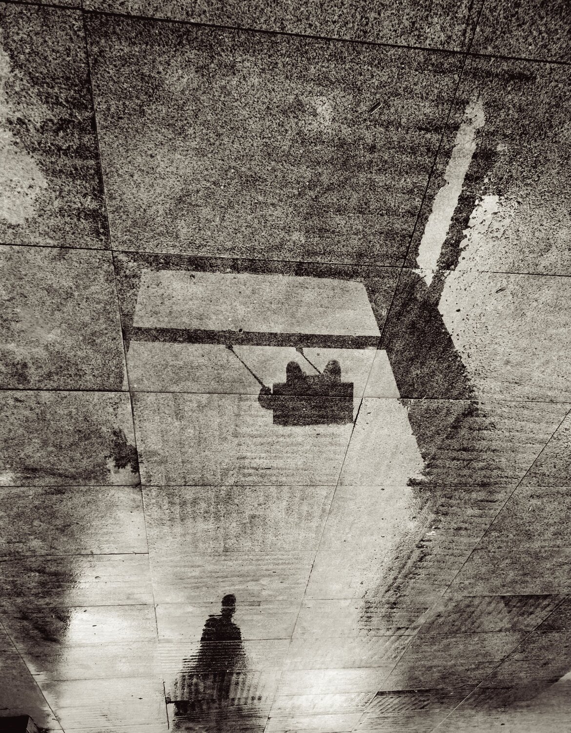 Photo #13849553
