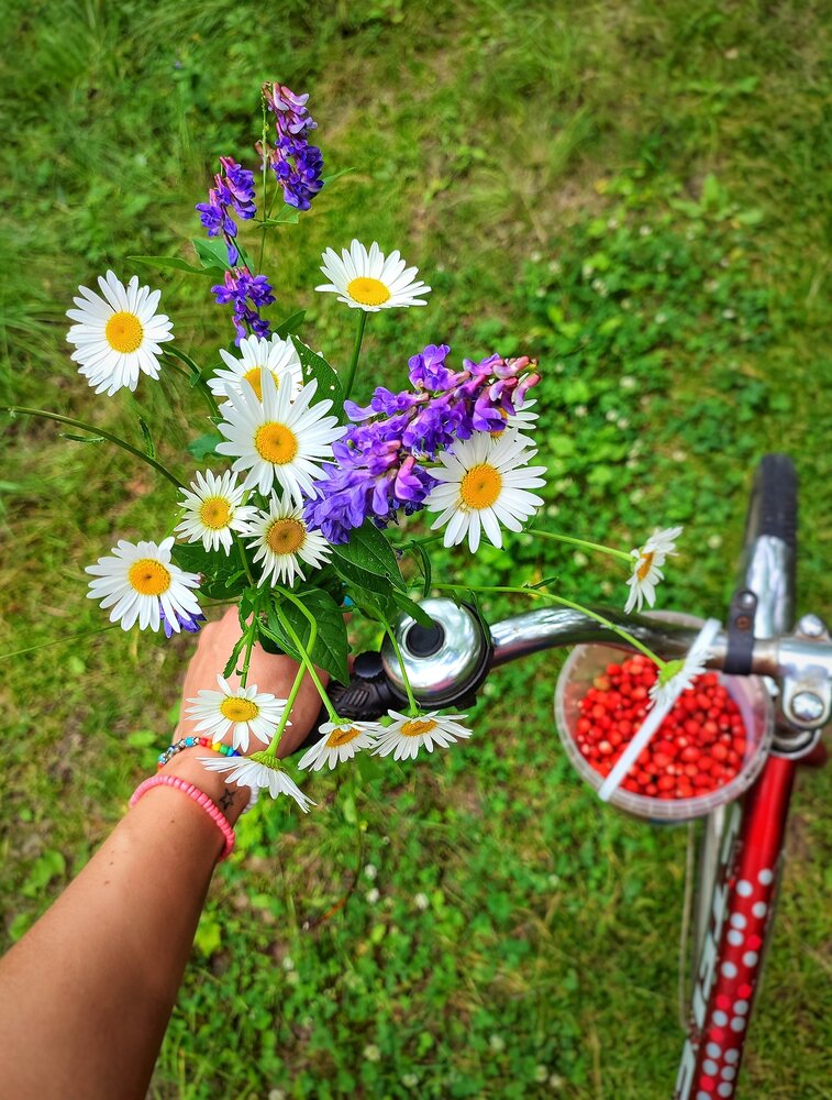 Photograph by Svetlana Vedernikova