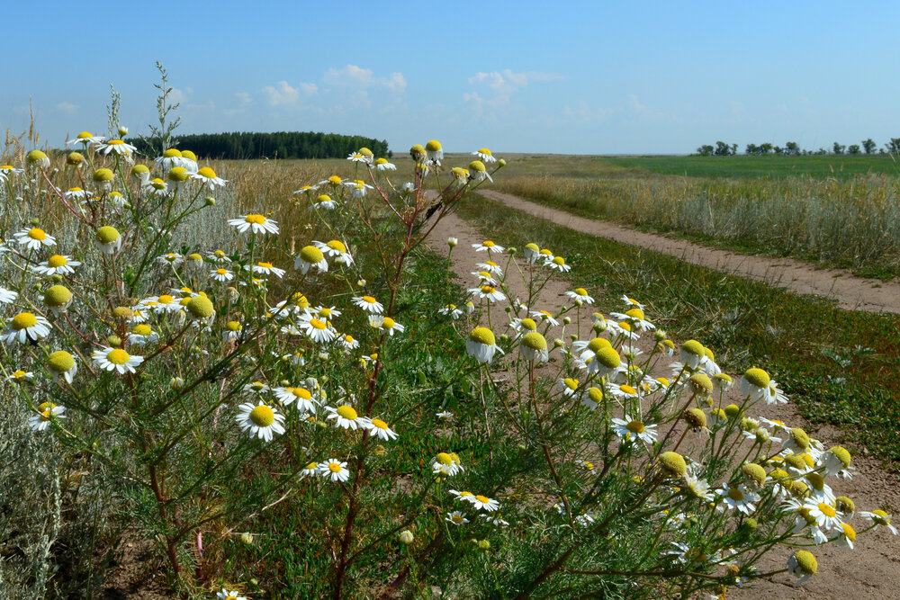 Photograph by Валерий Федяров