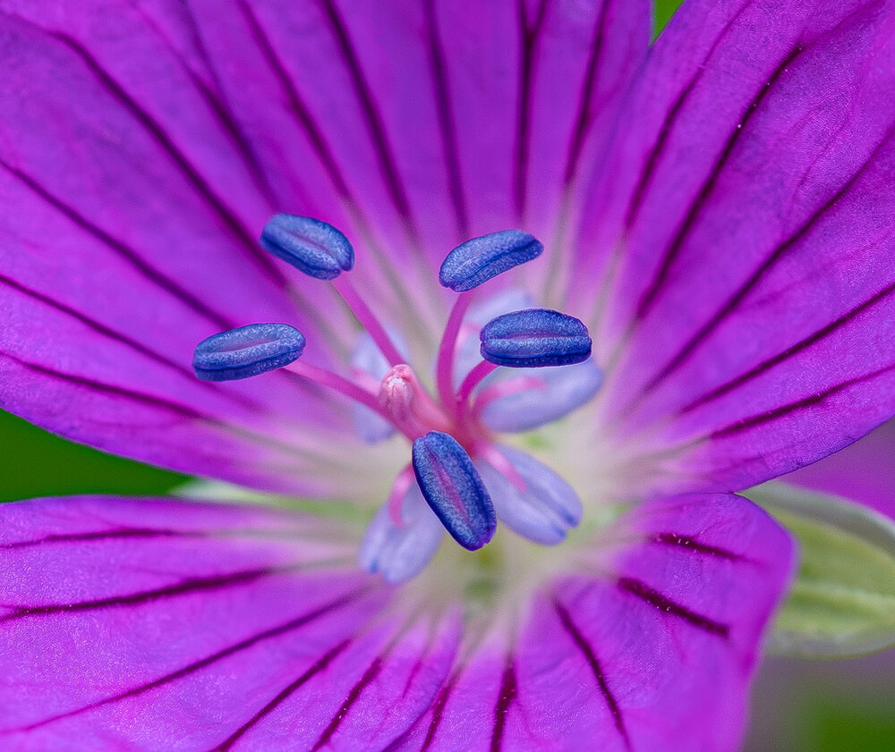 Photograph by Елена Харитонова