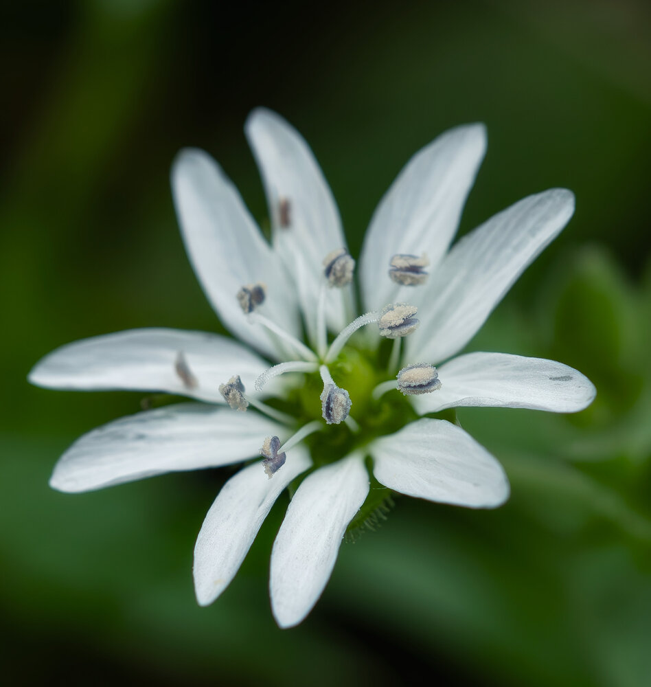 Photograph by Елена Харитонова