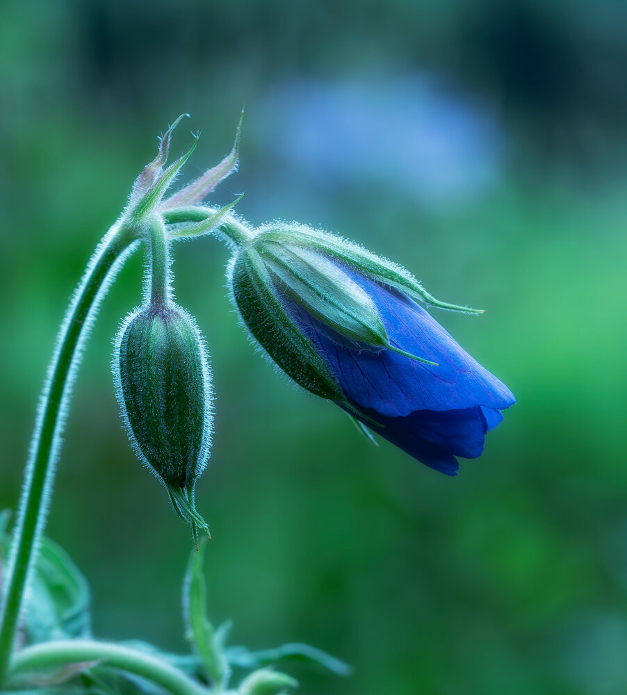 Photograph by Елена Харитонова