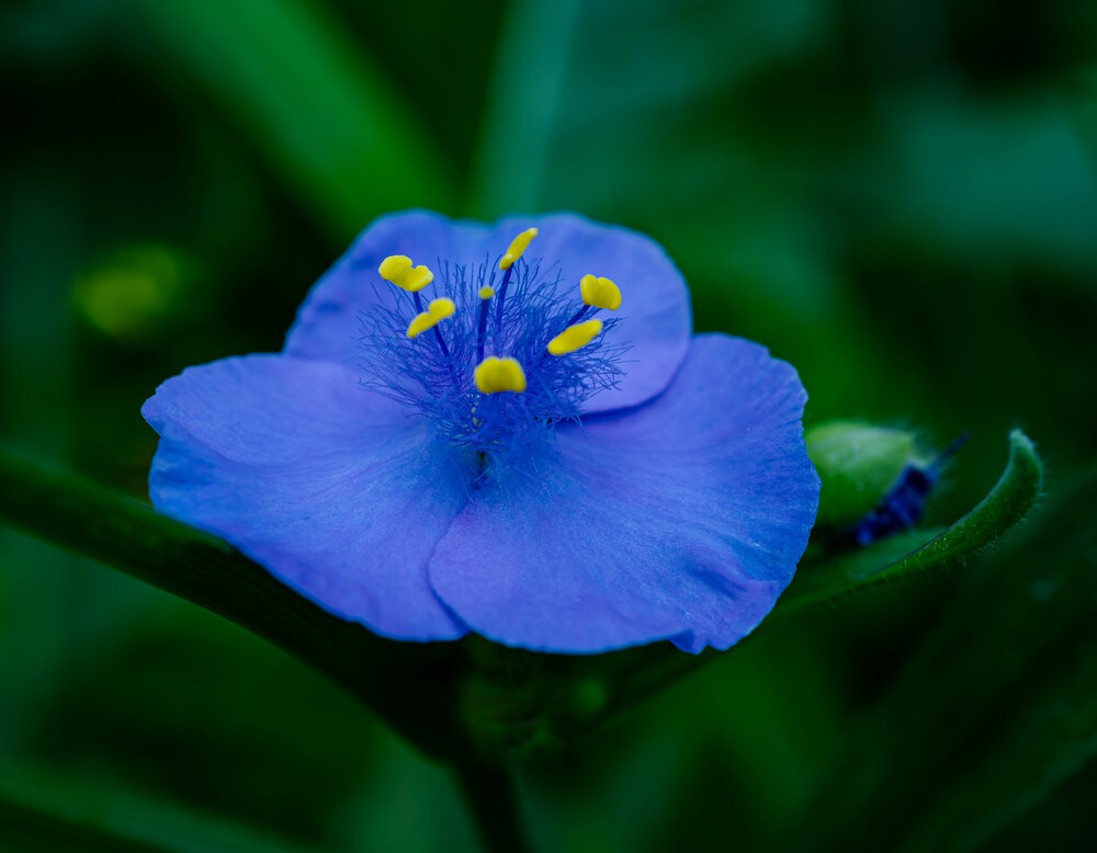 Photograph by Елена Харитонова