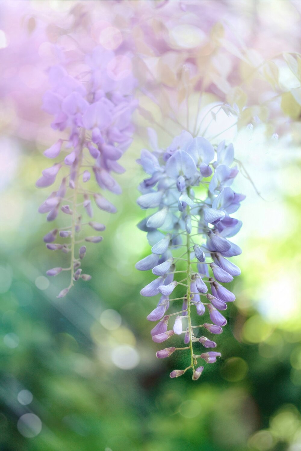 Photo #13849698