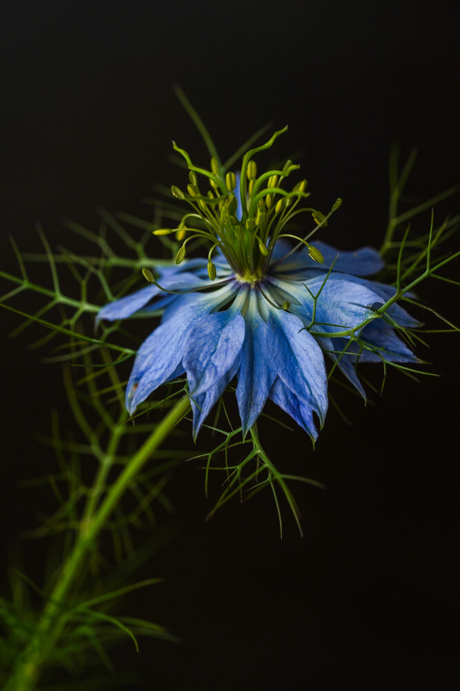 Photograph by Zhenia Vladimirova