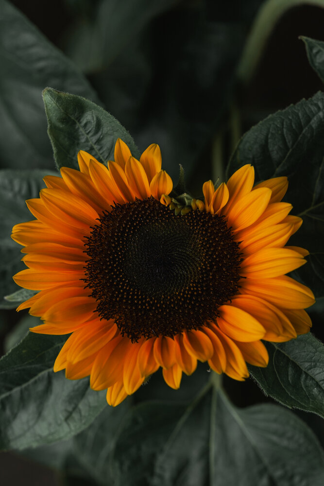 Photograph by Zhenia Vladimirova