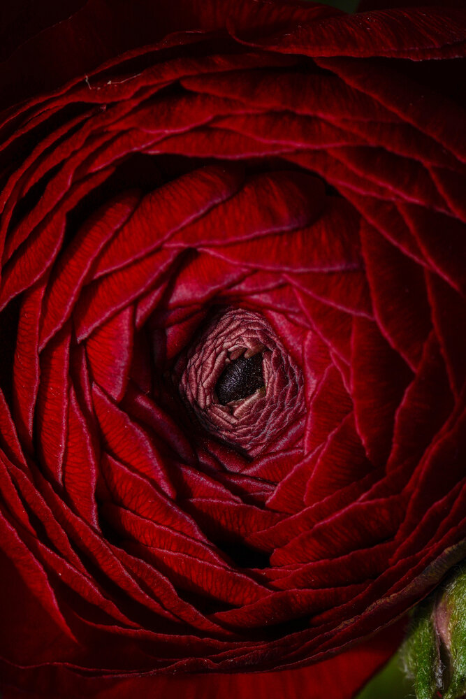 Photograph by Zhenia Vladimirova