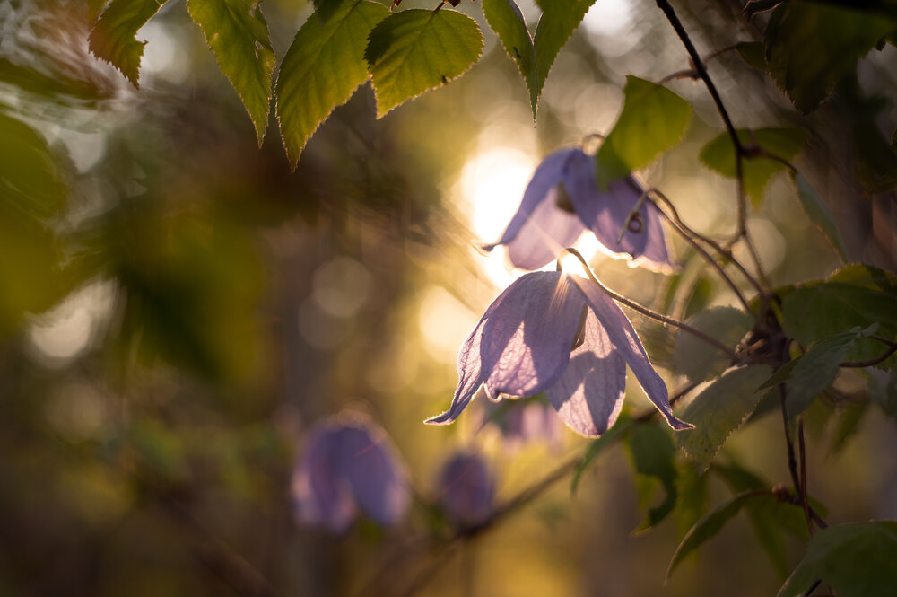Photograph by Оксана О.