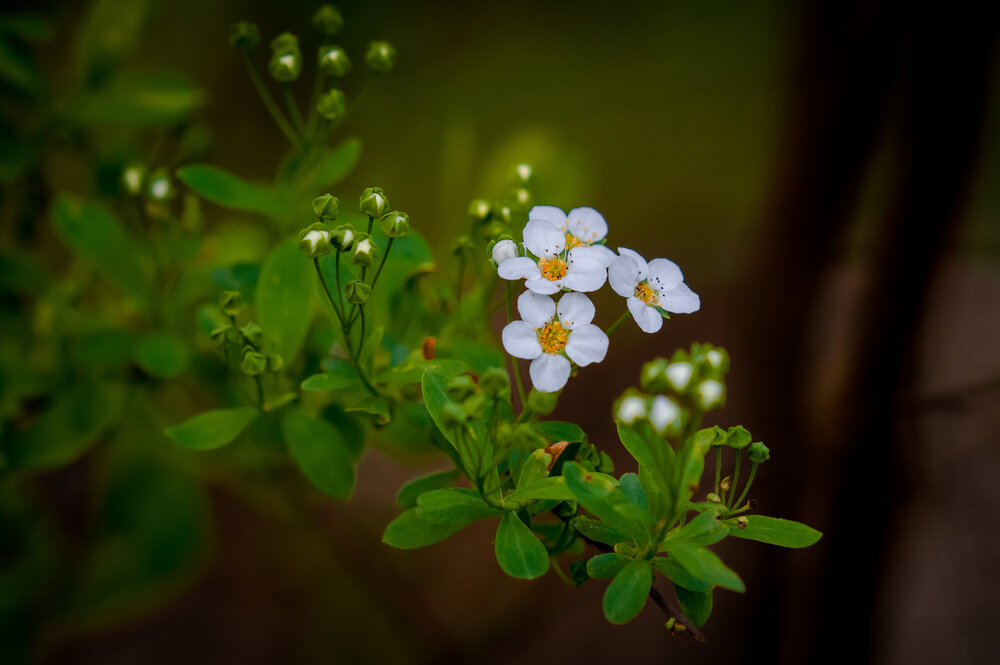Photograph by Владимир Говоров