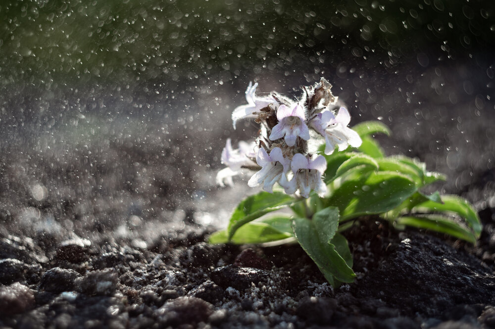 Photograph by Оксана О.