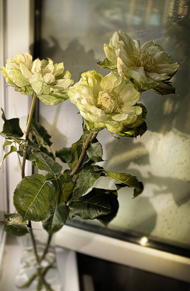 Photograph by Оксана Куриленко