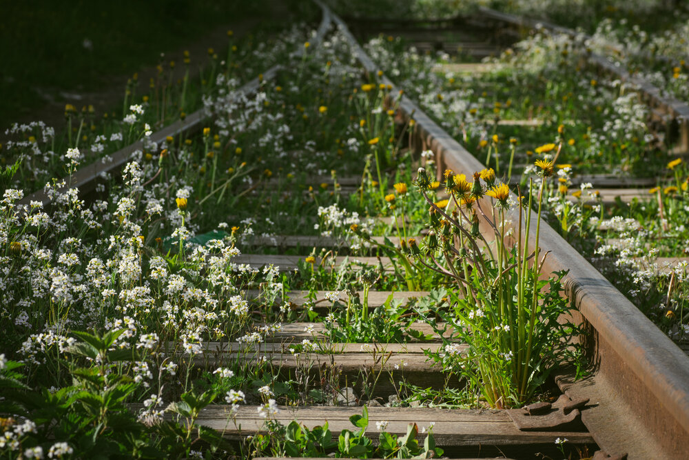 Photograph by Александра Плискова