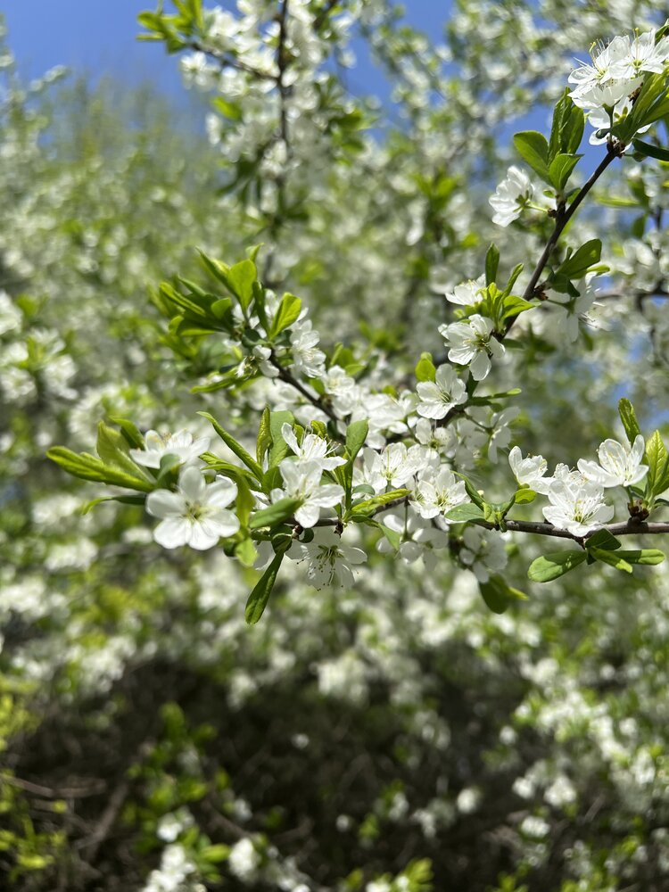 Photograph by Аксинья Коваленко
