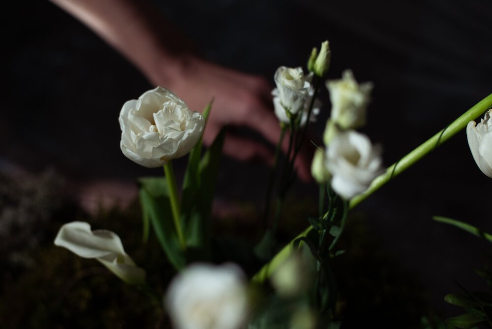 Photograph by Светлана Алдошина