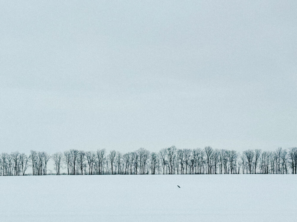 Photograph by Ольга Гапонова