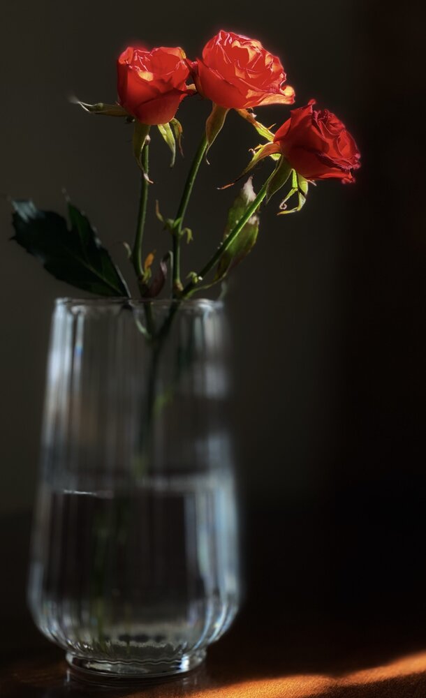 Photograph by Oksana Shchegolkova