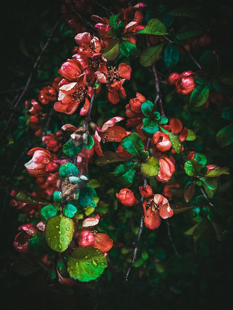 Photograph by Rita K.