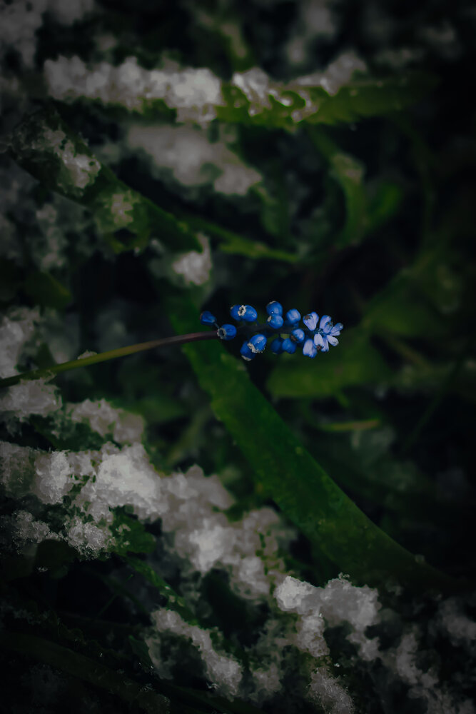 Photograph by Rita K.