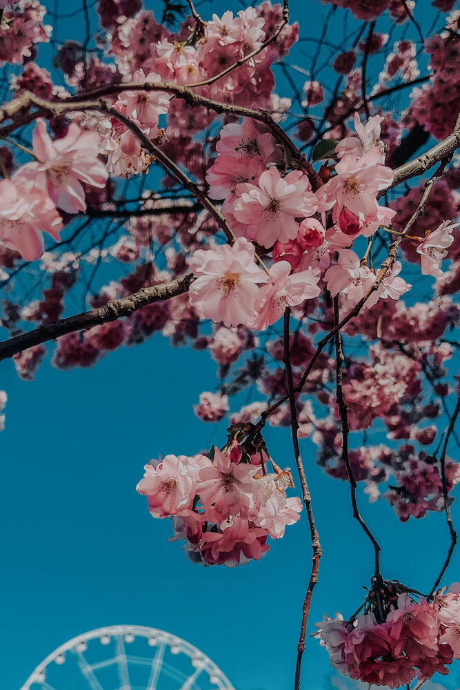 Photograph by Rita K.