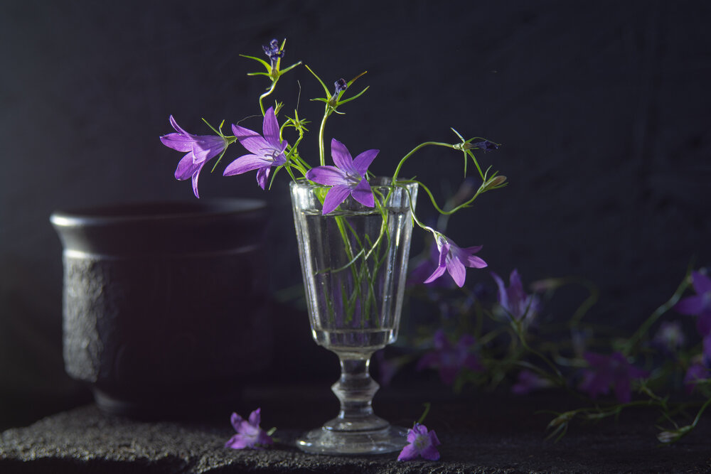 Photograph by Игорь Смирнов