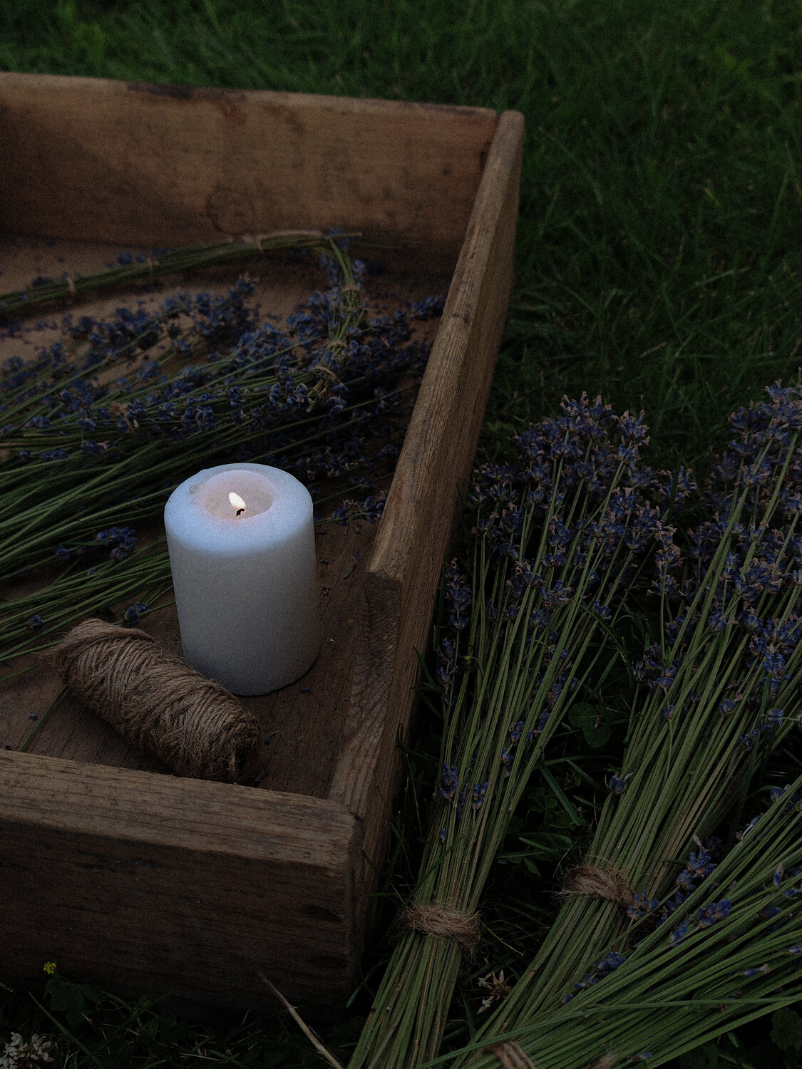 Photo #13849976