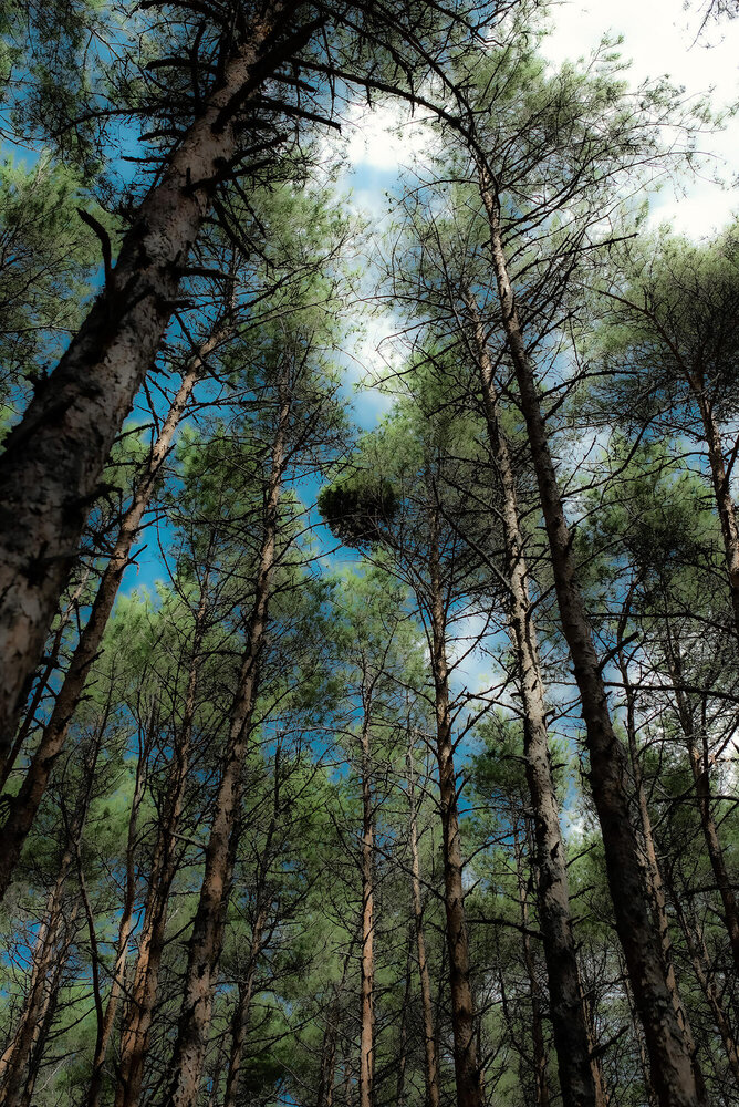 Photograph by Маргарита Матвеенкова