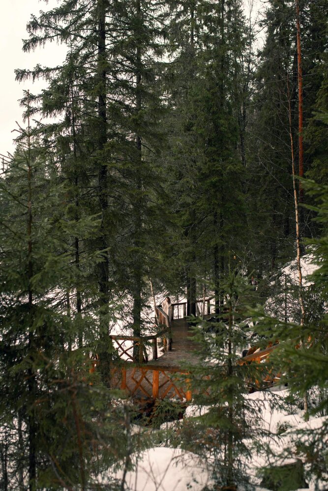 Photograph by Маргарита Матвеенкова