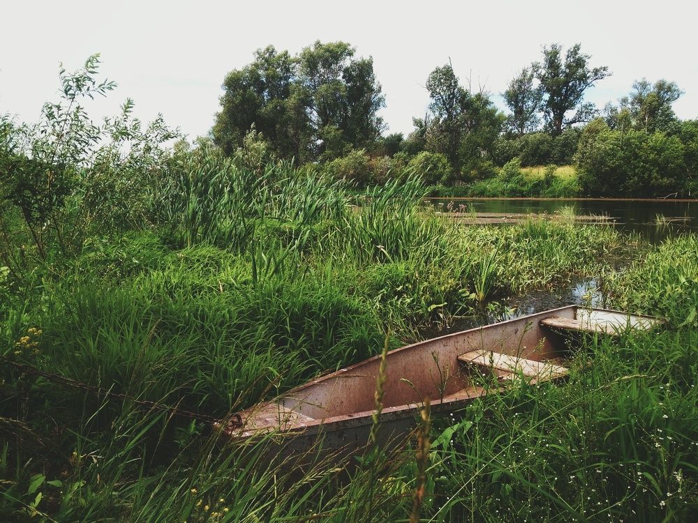 Тихая гавань