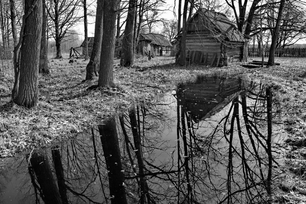 Забытый хутор.