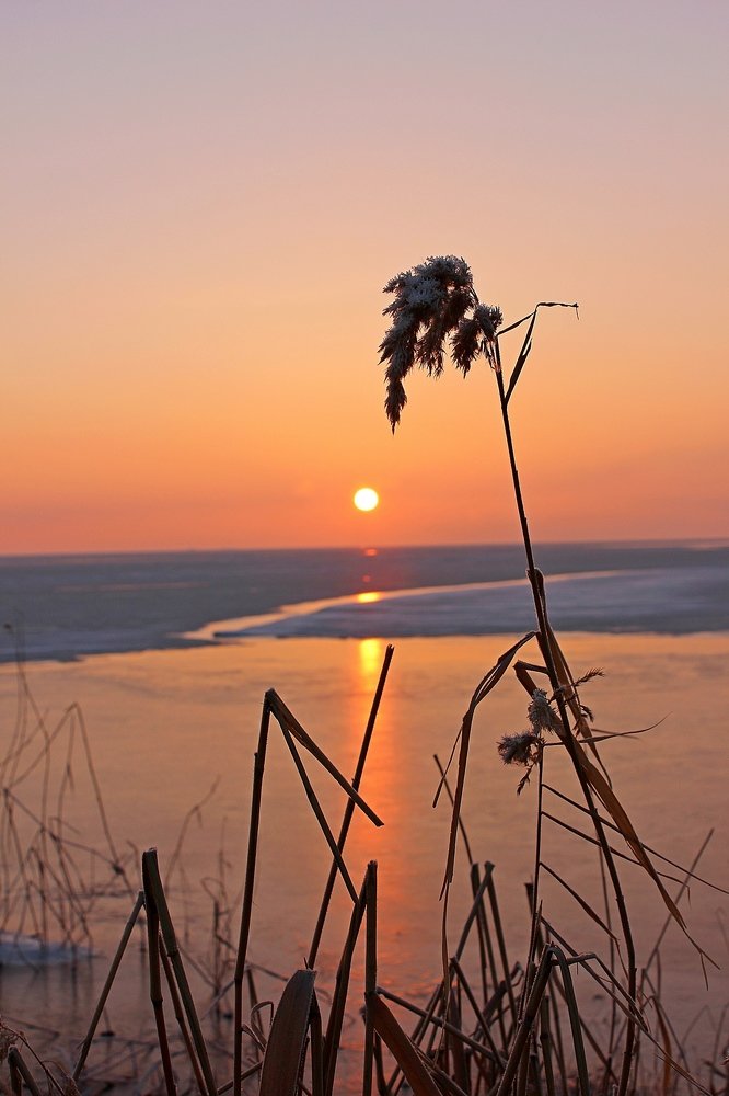 Февральский рассвет