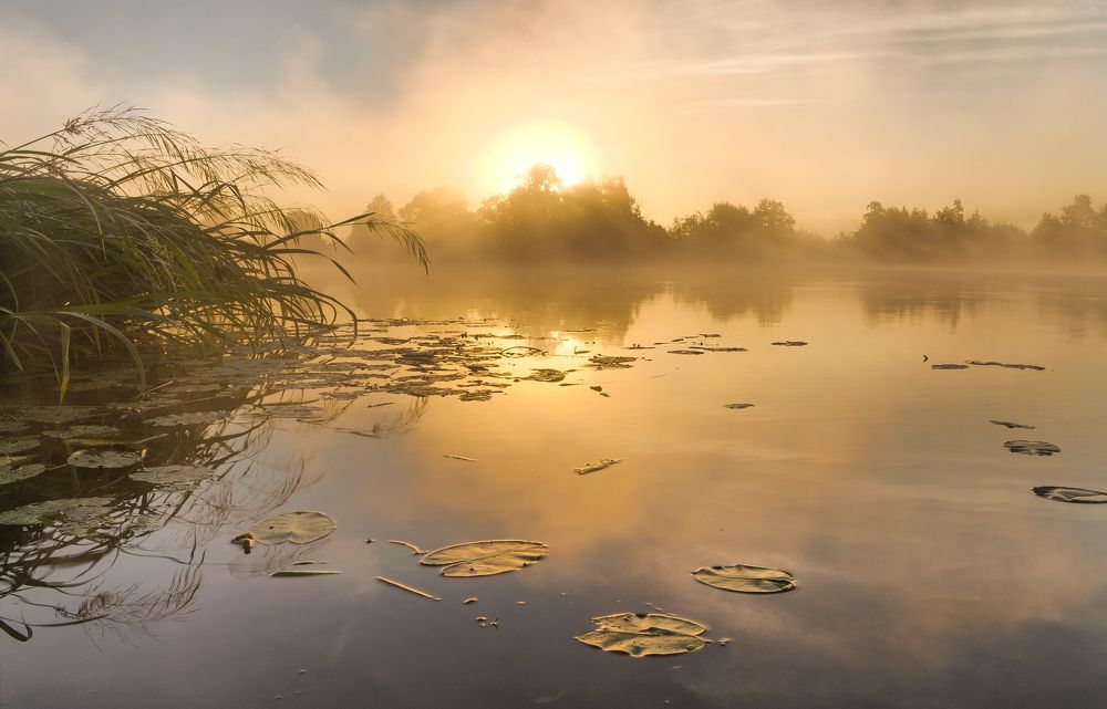 Дубна, Ратмино.
