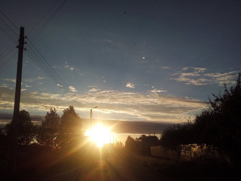 Photo #1386021