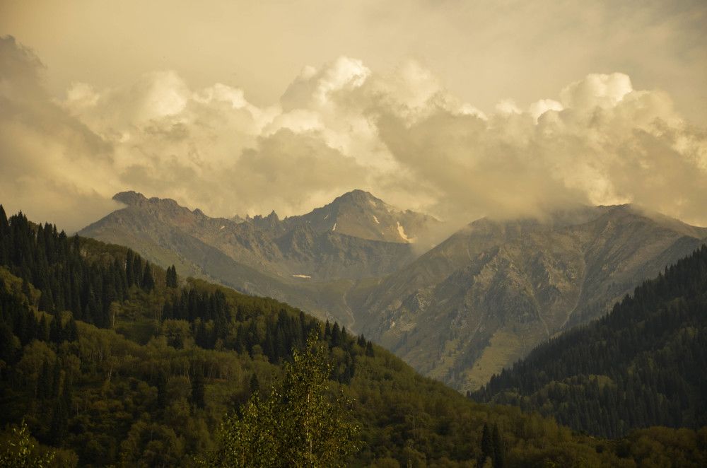 Photograph by Тучашвили Дарья