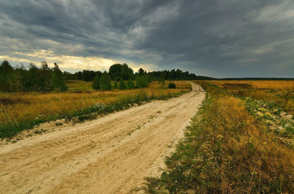 Полевая дорога