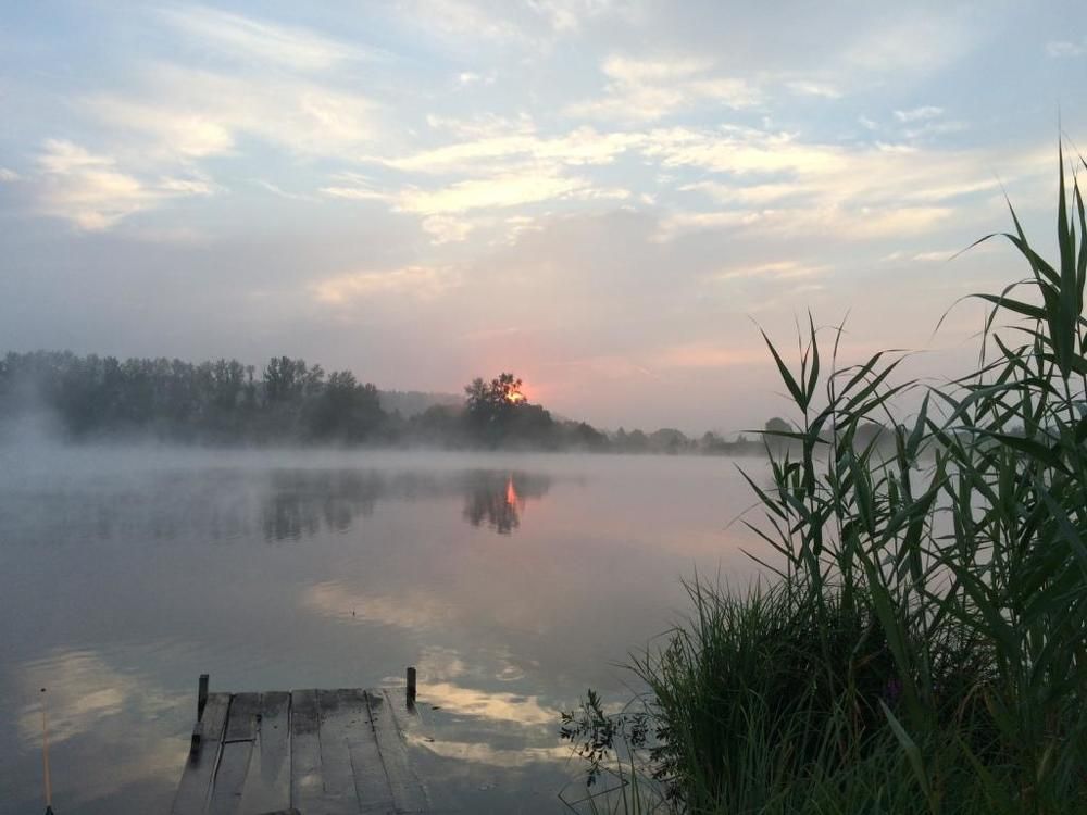 Рассвет на пруду