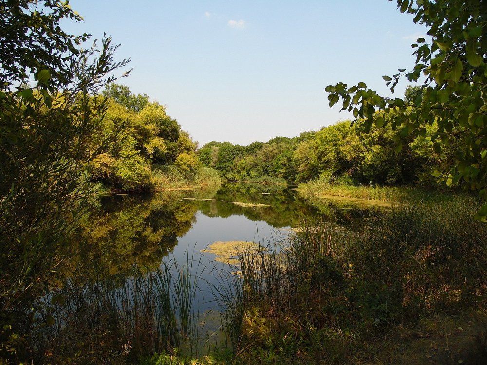 Река Айдар