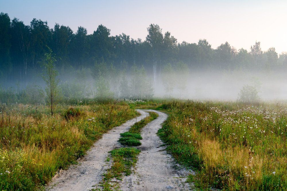 Фотография автора Владимир