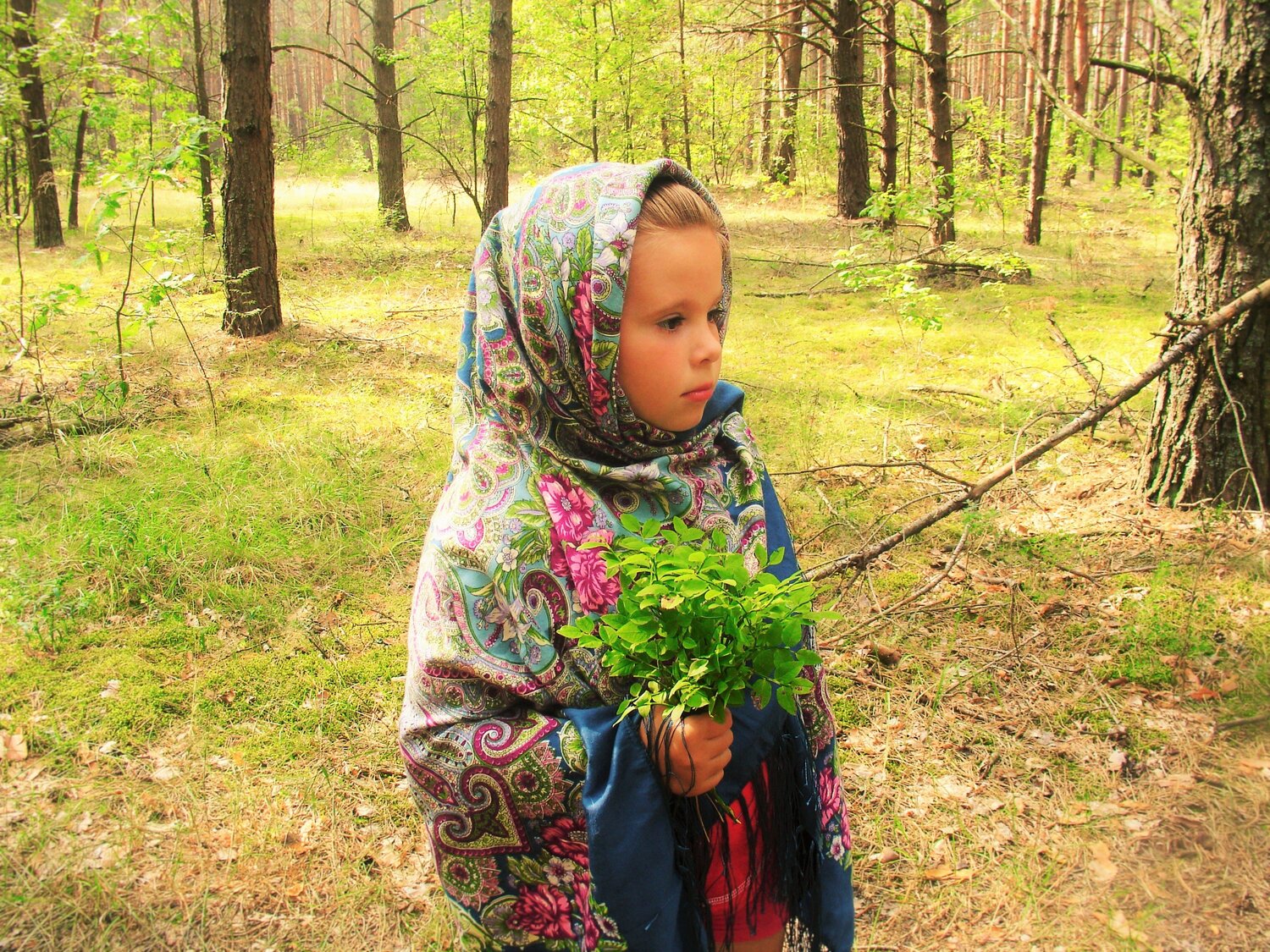 Photo #1387560