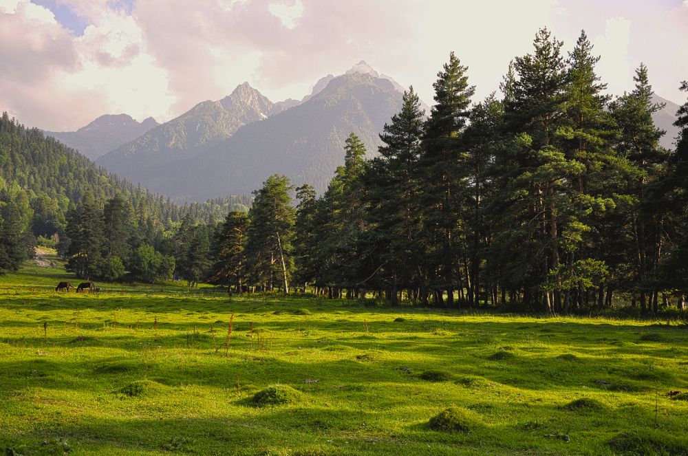 теплота гор