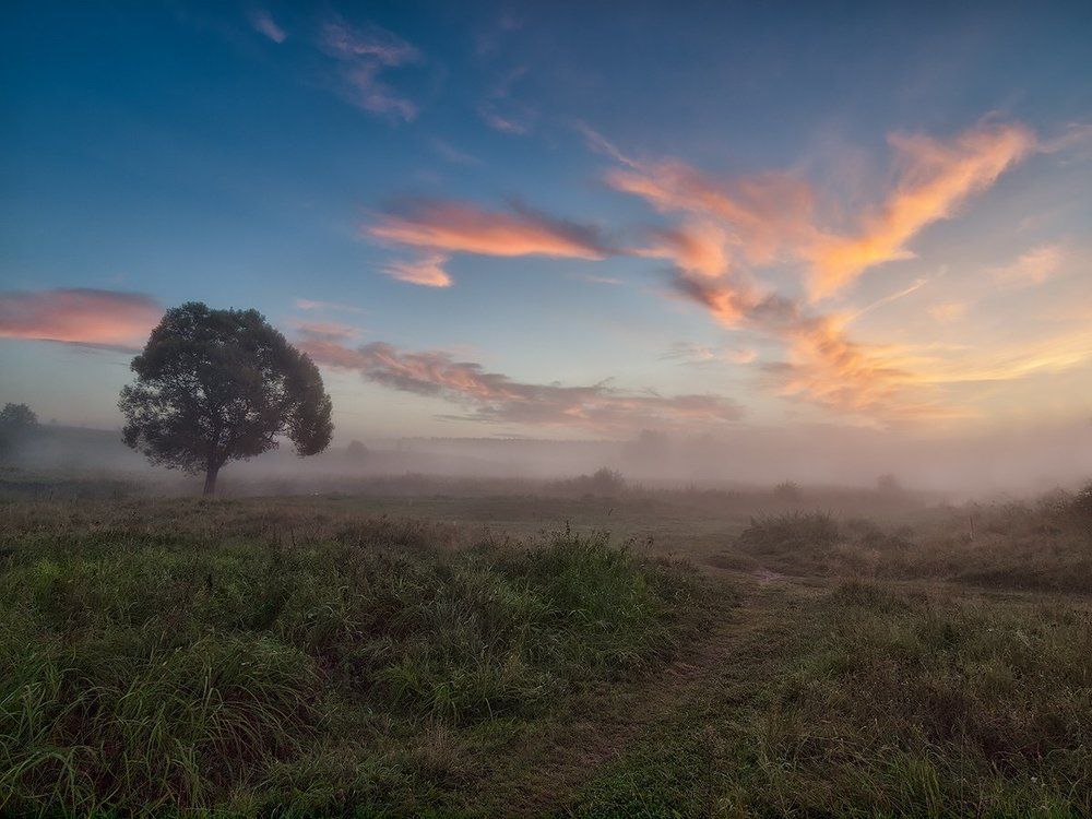Однажды августовским утром...