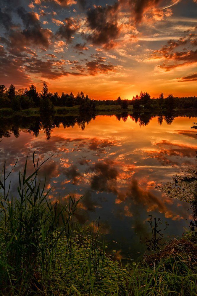 Пылал закат