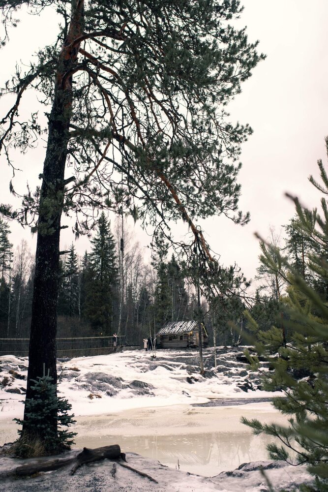 Photograph by Маргарита Матвеенкова