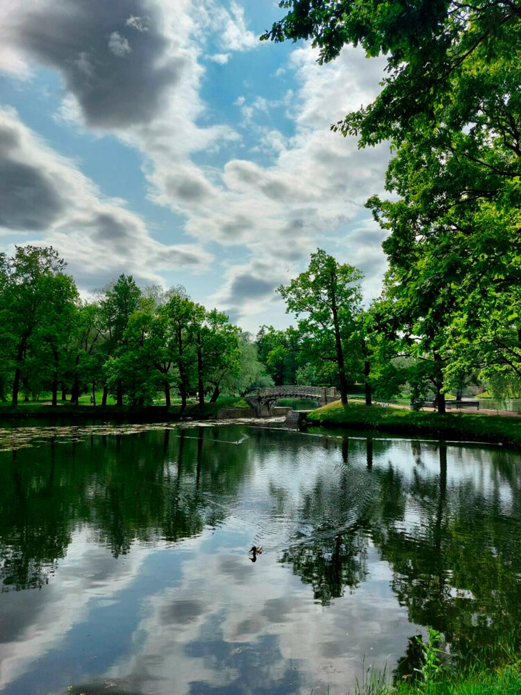 Photograph by Маргарита Матвеенкова